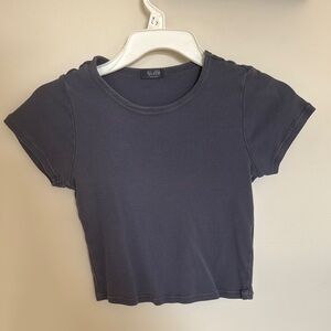 Brandy Melville Gray Fitted Crop T-Shirt